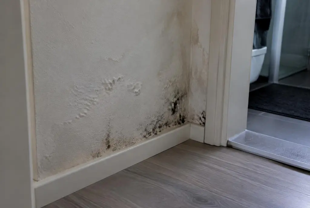 Lekdetectie De Bilt – vochtplek met schimmel op een muur
